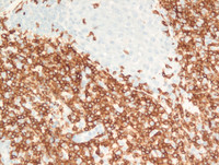 PCSMTL-CD3