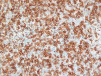 PCSMTL- CD5