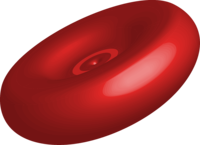 Red cell