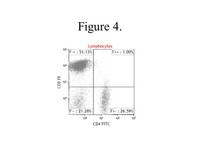 Systemic EBV+ T-cell Lymphoma: Flow Cytometry