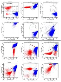 Flow cytometry plots