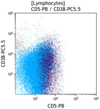 CLL-CD5 vs CD38