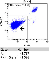 Paroxysmal Nocturnal Hemoglobinuria-Flow Plots