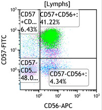 Chronic Lymphoproliferative Disorder of NK Cells - Flow Plots