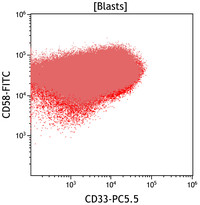 Mixed Phenotype Acute Leukemia, B/myeloid: Flow Plots CD33vsCD58