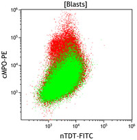 Mixed Phenotype Acute Leukemia, B/myeloid: Flow Plots nTDTvscMPO