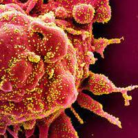 cuburn exploratory reg